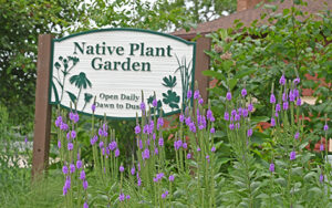 Native Plant Garden